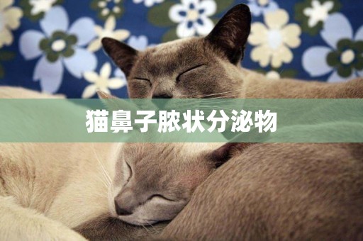 貓鼻子膿狀分泌物