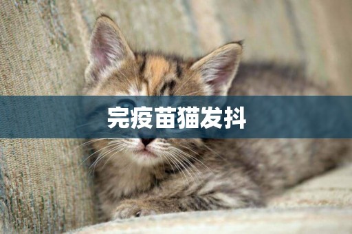 完疫苗貓發抖
