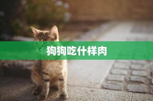 狗狗吃什樣肉