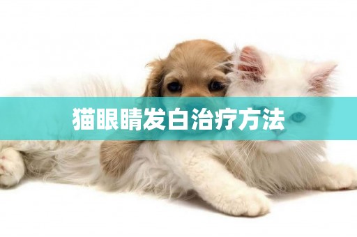 貓眼睛發白治療方法
