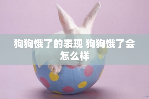 狗狗餓了的表現 狗狗餓了會怎么樣
