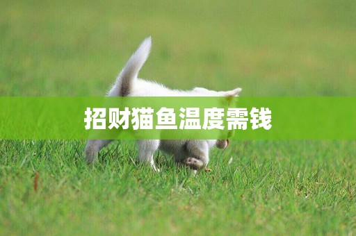 招財貓魚溫度需錢