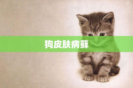 狗皮膚病蘚