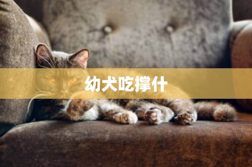 幼犬吃撐什