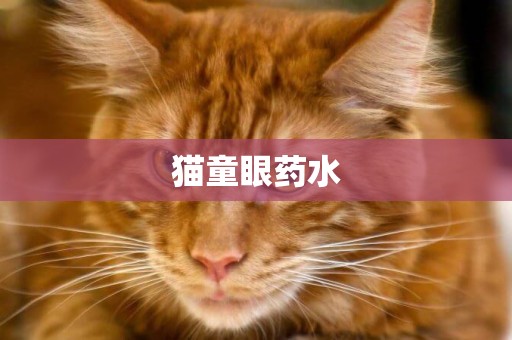 貓童眼藥水
