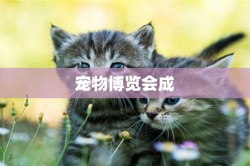寵物博覽會成