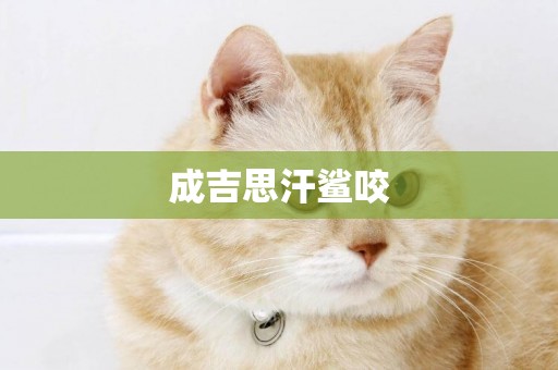 成吉思汗鯊咬