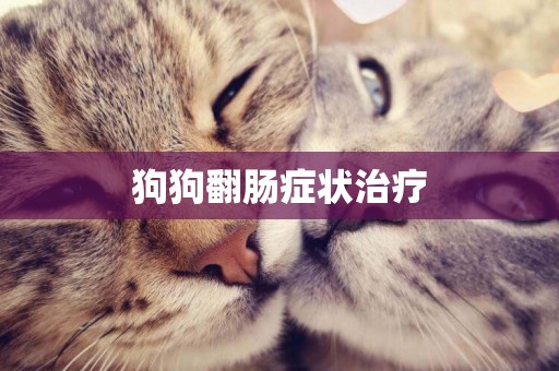 狗狗翻腸癥狀治療