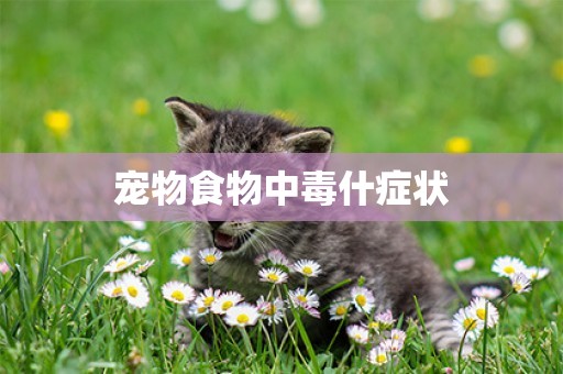寵物食物中毒什癥狀