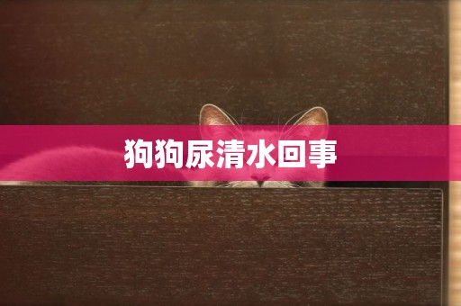 狗狗尿清水回事