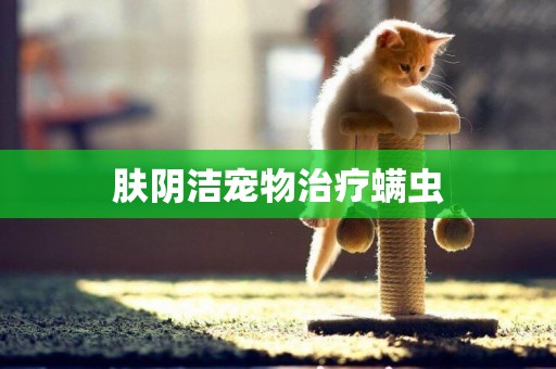 膚陰潔寵物治療螨蟲