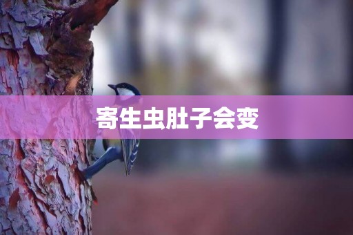 寄生蟲肚子會變
