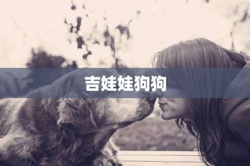 吉娃娃狗狗