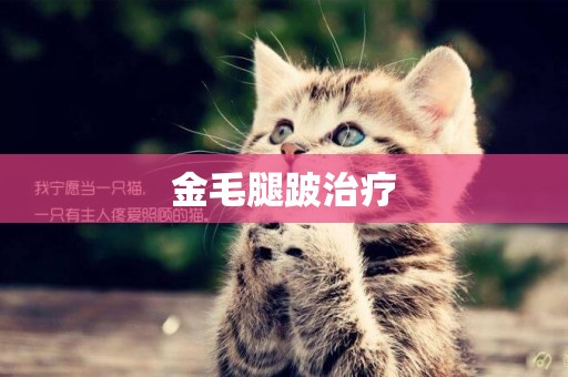 金毛腿跛治療