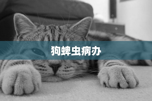狗蜱蟲病辦
