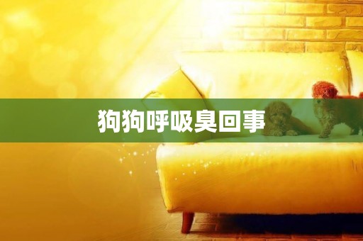 狗狗呼吸臭回事
