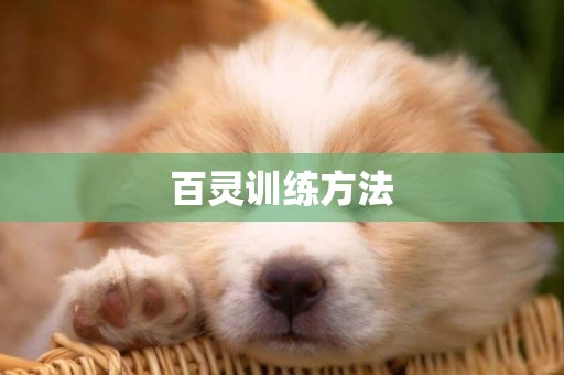 百靈訓練方法