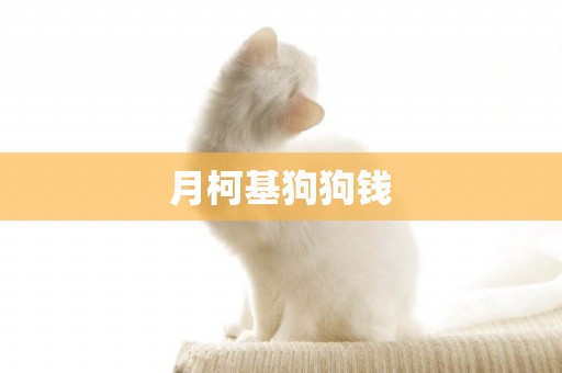 月柯基狗狗錢