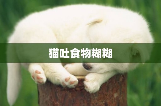 貓吐食物糊糊