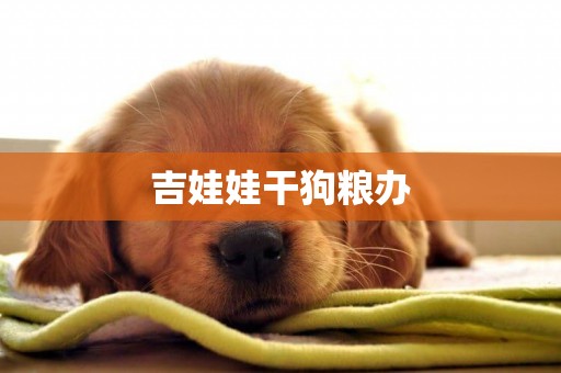 吉娃娃干狗糧辦