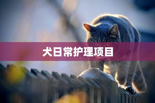 犬日常護理項目