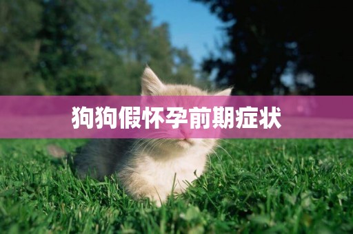 狗狗假懷孕前期癥狀