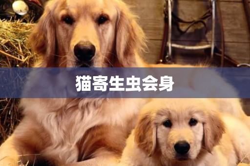 貓寄生蟲會身