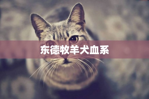 東德牧羊犬血系