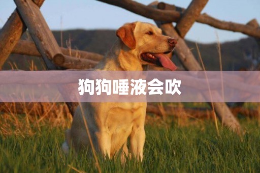 狗狗唾液會吹