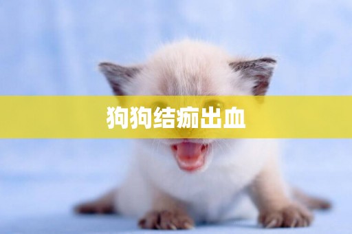 狗狗結痂出血