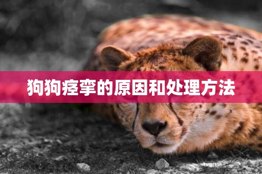 狗狗痙攣的原因和處理方法