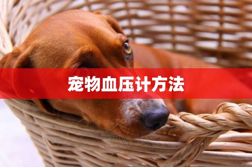 寵物血壓計方法