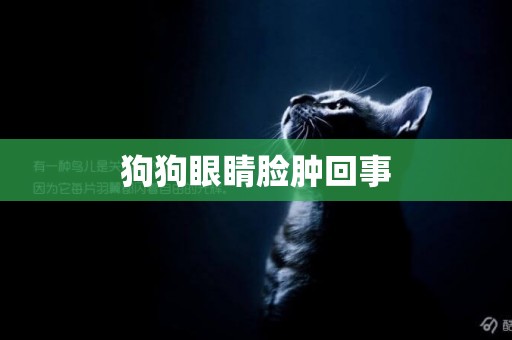 狗狗眼睛臉腫回事