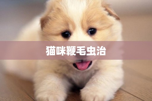 貓咪鞭毛蟲治