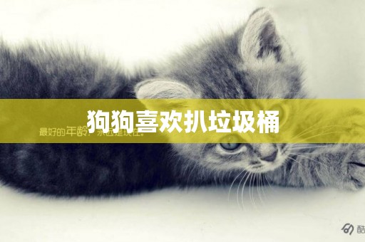 狗狗喜歡扒垃圾桶