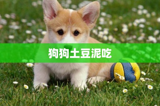 狗狗土豆泥吃