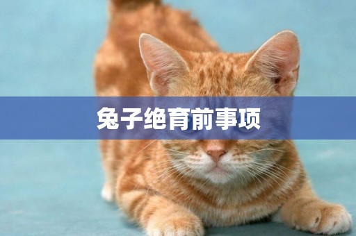 兔子絕育前事項