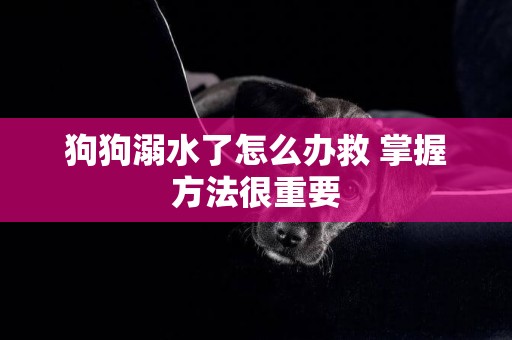 狗狗溺水了怎么辦救 掌握方法很重要
