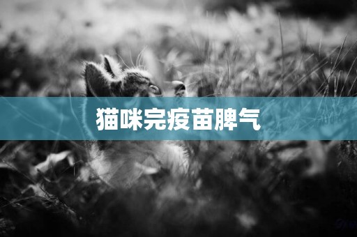 貓咪完疫苗脾氣