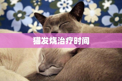 貓發燒治療時間