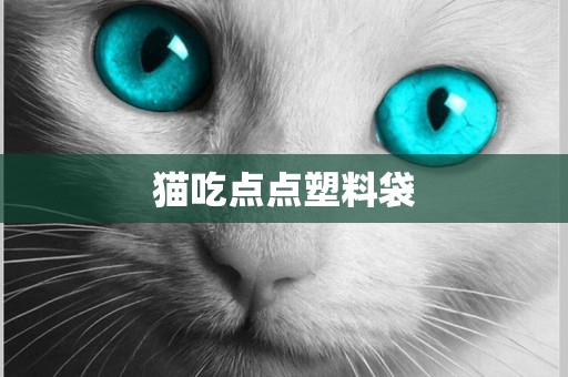 貓吃點點塑料袋