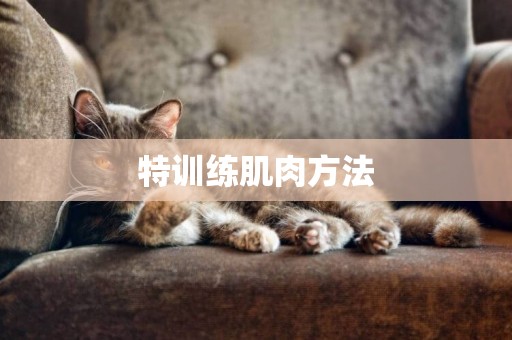 特訓練肌肉方法
