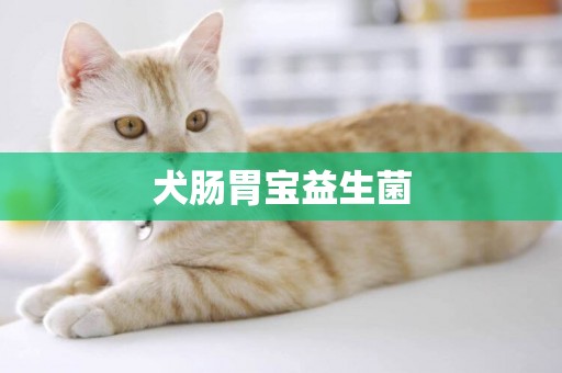 犬腸胃寶益生菌