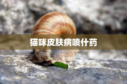 貓咪皮膚病噴什藥
