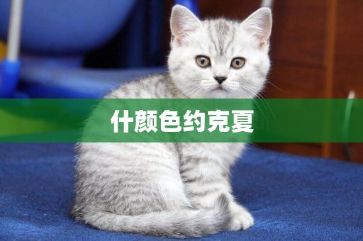 什顏色約克夏
