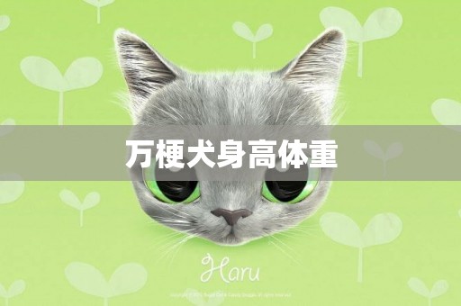 萬梗犬身高體重