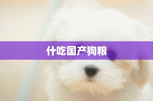 什吃國產狗糧