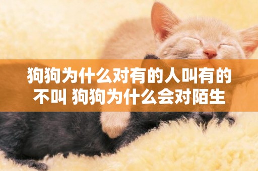 狗狗為什么對有的人叫有的不叫 狗狗為什么會對陌生人叫