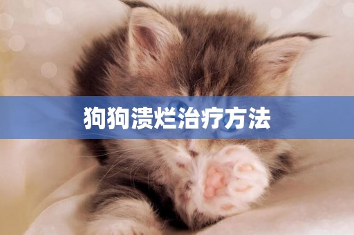 狗狗潰爛治療方法