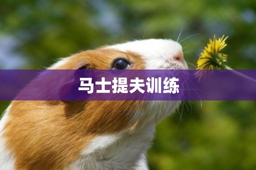 馬士提夫訓練